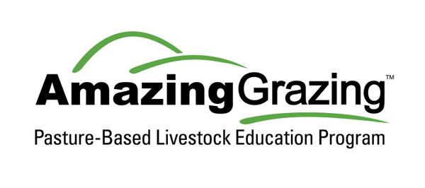 Logo - Amazing Grazing